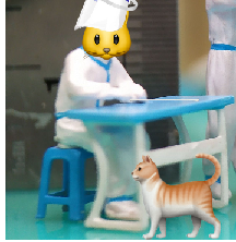 猫图片|宠物猫|猫咪|