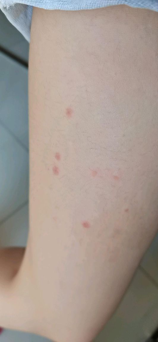 猫图片|宠物猫|猫咪|