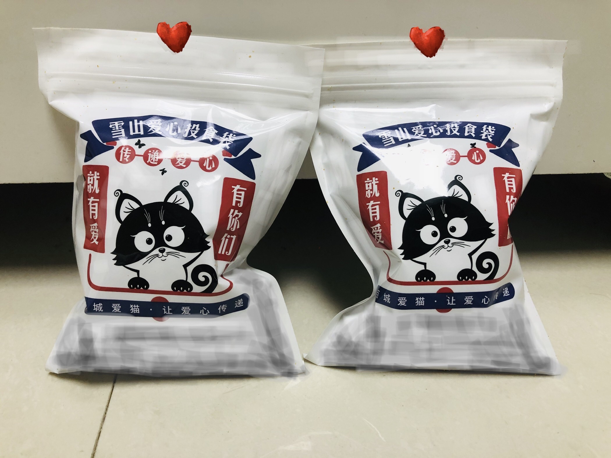 猫图片|宠物猫|猫咪|