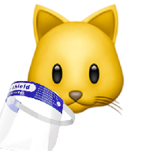 猫图片|宠物猫|猫咪|