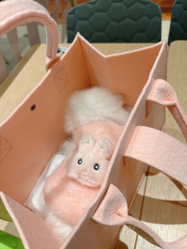 猫图片|宠物猫|猫咪|