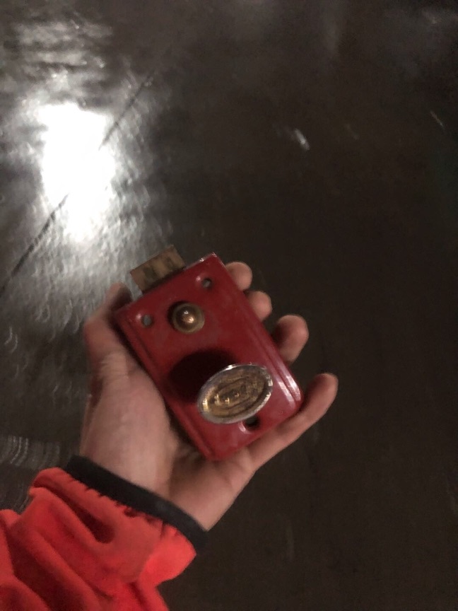 猫图片|宠物猫|猫咪|