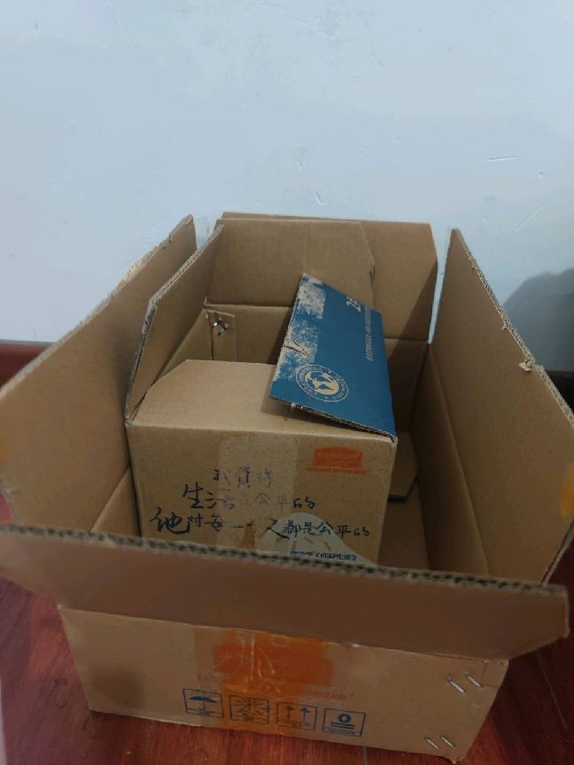 猫图片|宠物猫|猫咪|