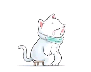 猫图片|宠物猫|猫咪|