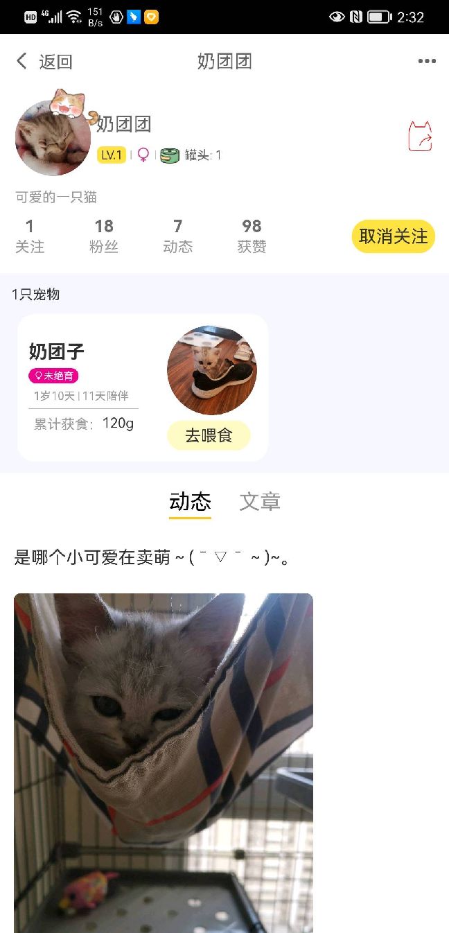 猫图片|宠物猫|猫咪|