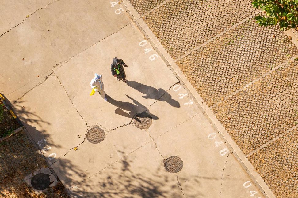 猫图片|宠物猫|猫咪|