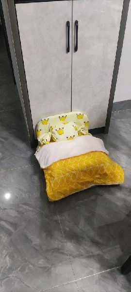 猫图片|宠物猫|猫咪|