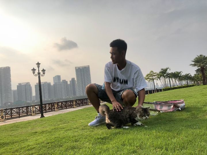 猫图片|宠物猫|猫咪|