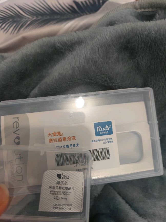 猫图片|宠物猫|猫咪|