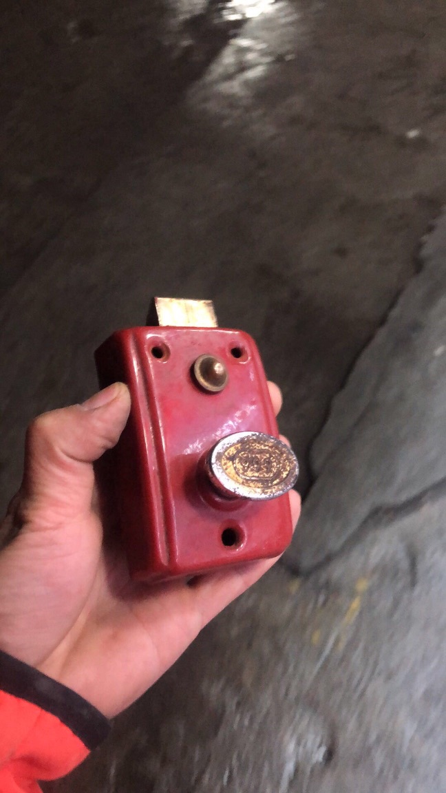 猫图片|宠物猫|猫咪|