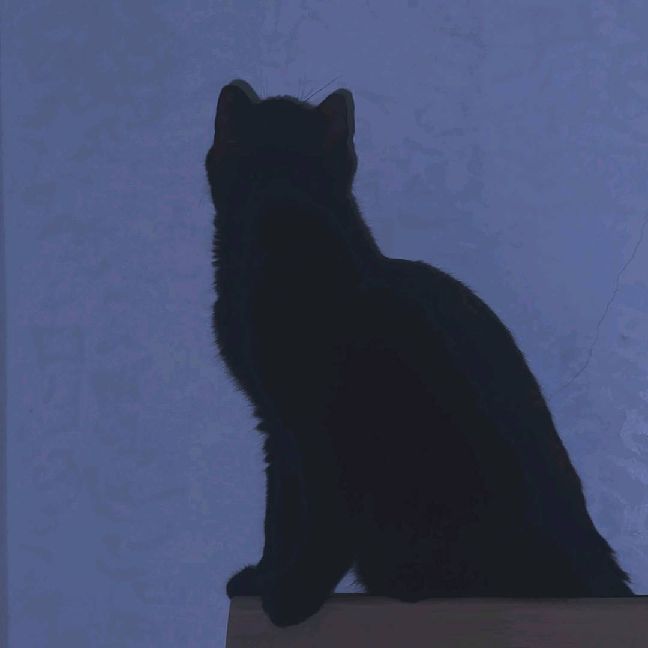 猫图片|宠物猫|猫咪|