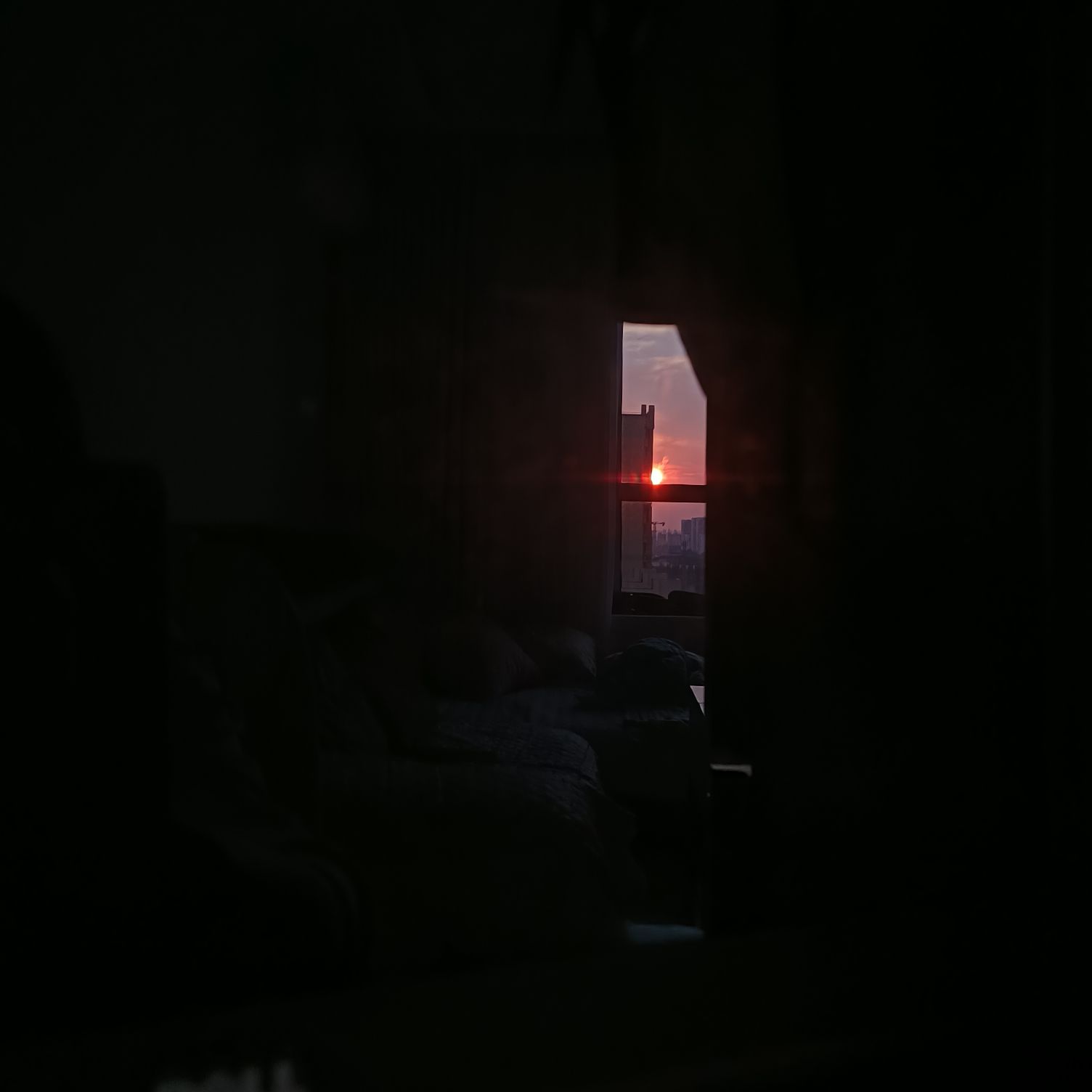 猫图片|宠物猫|猫咪|