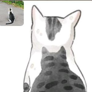 猫图片|宠物猫|猫咪|