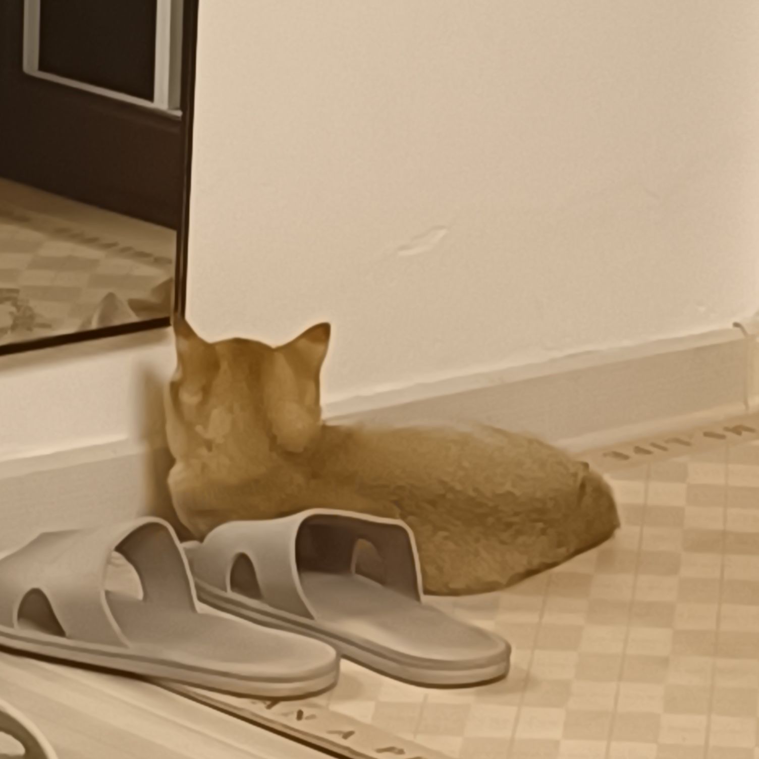 猫图片|宠物猫|猫咪|